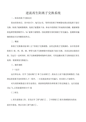 逆流再生阳离子交换系统.docx