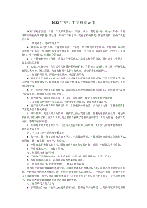 2023年护士年度总结范本.docx