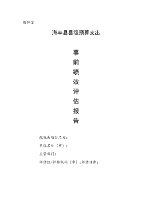 事前绩效评估报告.docx