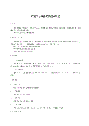 红皮云杉嫁接繁育技术规程.docx