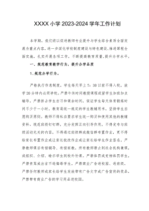 小学2023-2024学年工作计划.docx