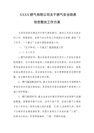 燃气有限公司关于燃气安全隐患信息整改工作方案.docx