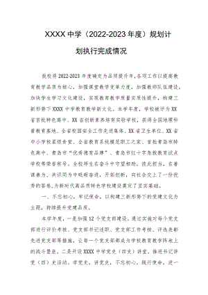 中学（2022-2023年度）规划计划执行完成情况.docx