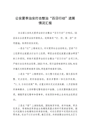 2023开展夏季治安打击整治“百日行动”工作总结七篇.docx