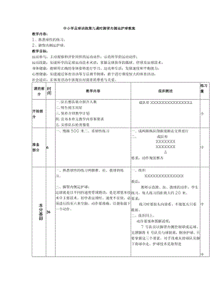 中小学足球训练第九课时脚背内侧运护球教案.docx