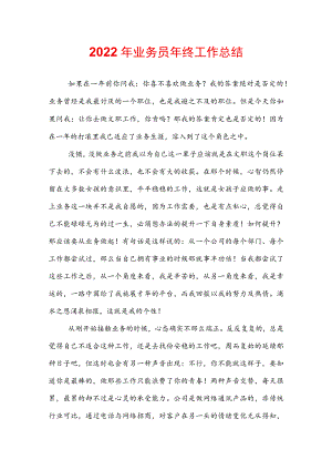 2022年业务员年终工作总结.docx