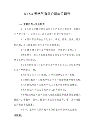 天然气有限公司岗位职责.docx