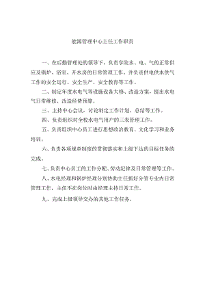 能源管理中心主任工作职责.docx