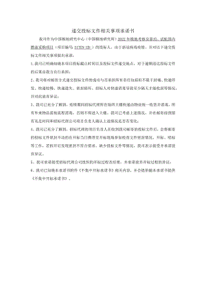 递交投标文件相关事项承诺书.docx