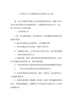 大学恶劣天气后勤保障处应急处理工作方案.docx