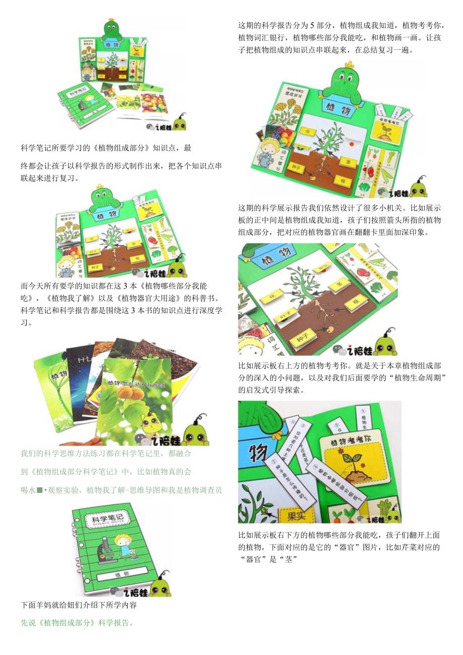 美国小学科学课把记科普知识变成科学思维的升级.docx_第2页