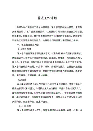 普法工作计划.docx