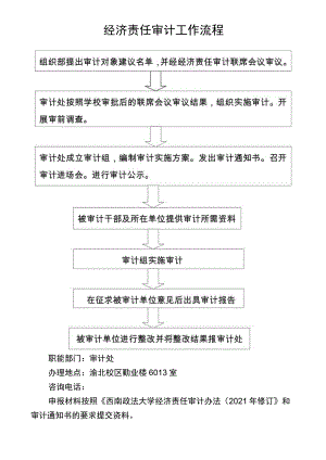 经济责任审计工作流程.docx