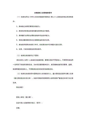 合格投标人的资格承诺书.docx