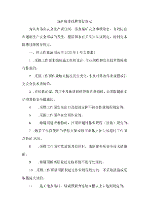 煤矿隐患挂牌暂行规定.docx
