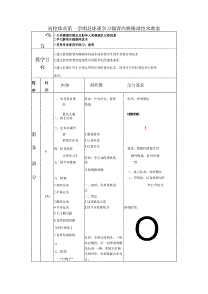 高校体育第一学期足球课学习脚背内侧踢球技术教案.docx