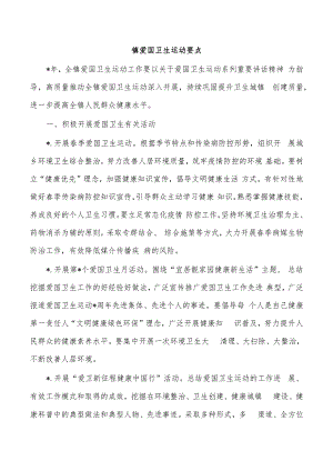 镇爱国卫生运动要点.docx