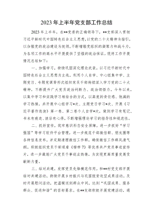 2023年上半年党支部工作总结.docx
