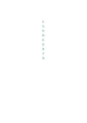 公司礼仪特勤队建设方案.docx