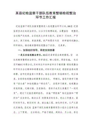 某县纪检监察干部队伍教育整顿检视整治环节工作汇报.docx