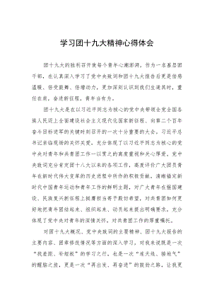 2023年学习团十九大精神心得体会.docx