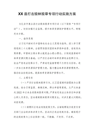 XX县打击毁林毁草专项行动实施方案.docx
