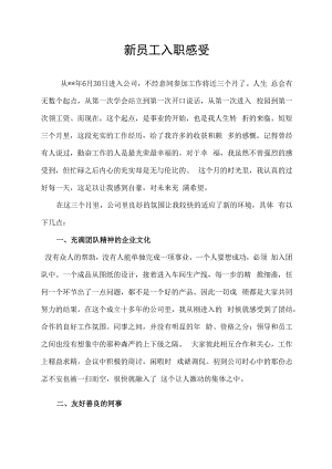 新人入职感受.docx