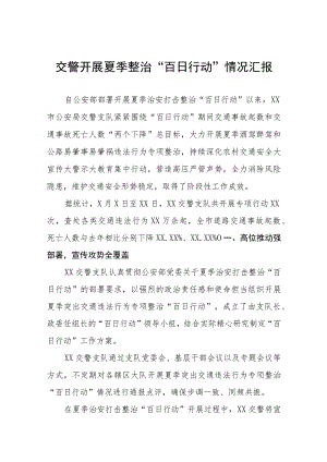 2023年开展夏季治安打击整治“百日行动”工作总结六篇合集.docx
