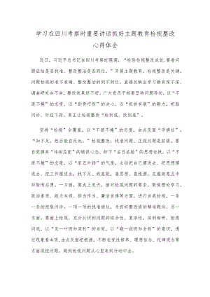 学习在四川考察时重要讲话抓好主题教育检视整改心得体会.docx