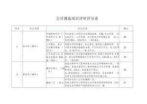 公开遴选项目评审评分表.docx