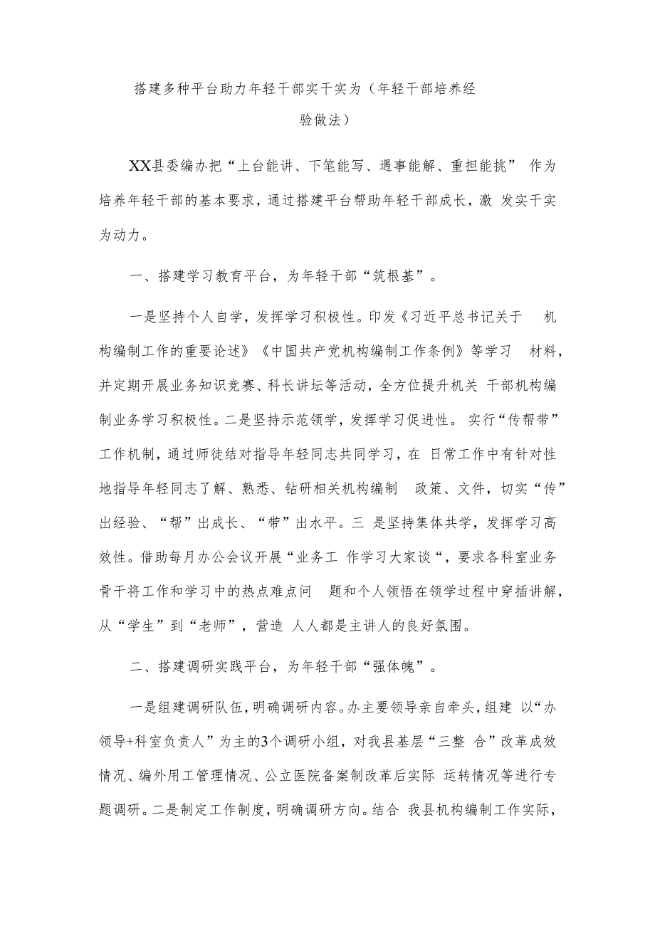 搭建多种平台助力年轻干部实干实为（年轻干部培养经验做法）.docx_第1页