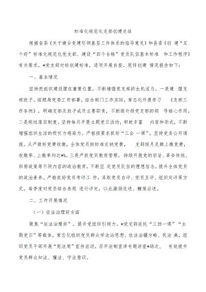标准化规范化支部创建总结.docx