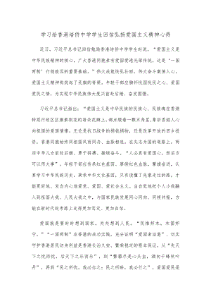 学习给香港培侨中学学生回信弘扬爱国主义精神心得.docx