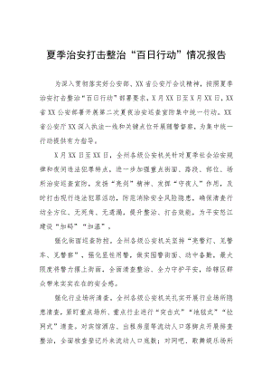 夏季治安打击整治“百日行动”情况报告六篇.docx