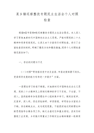 某乡镇巡察整改专题民主生活会个人对照检查.docx