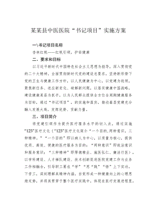 某某县中医医院“书记项目”实施方案.docx
