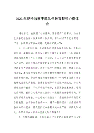 2023纪检监察干部队伍教育整顿心得体会感悟十四篇.docx