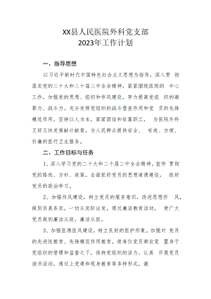 XX县人民医院外科党支部2023年工作计划.docx