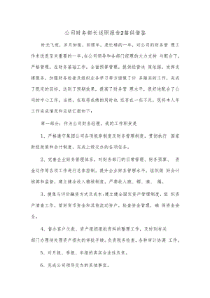 公司财务部长述职报告2篇供借鉴.docx