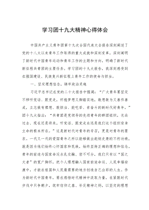 党员干部学习团十九大精神心得体会.docx