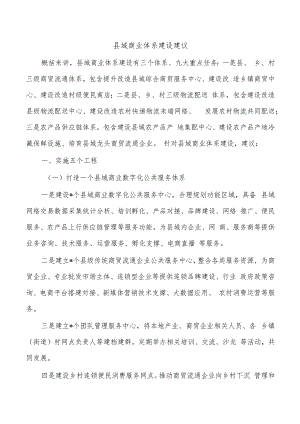 县域商业体系建设建议.docx