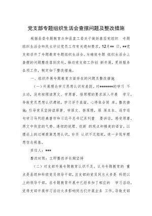 党支部专题组织生活会查摆问题及整改措施.docx