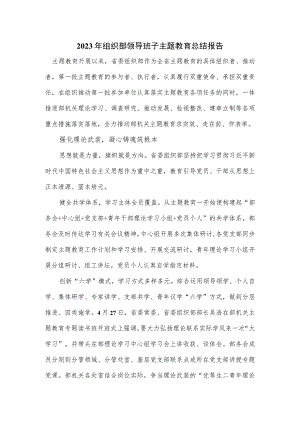 2023年组织部领导班子主题教育总结报告.docx