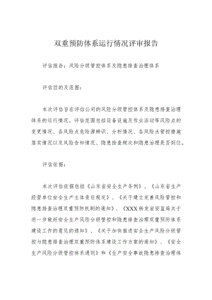 双重预防体系运行情况评审报告.docx