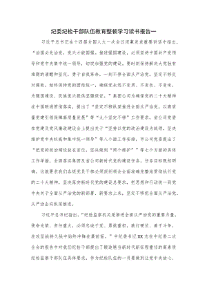 纪委纪检干部队伍教育整顿学习读书报告一.docx