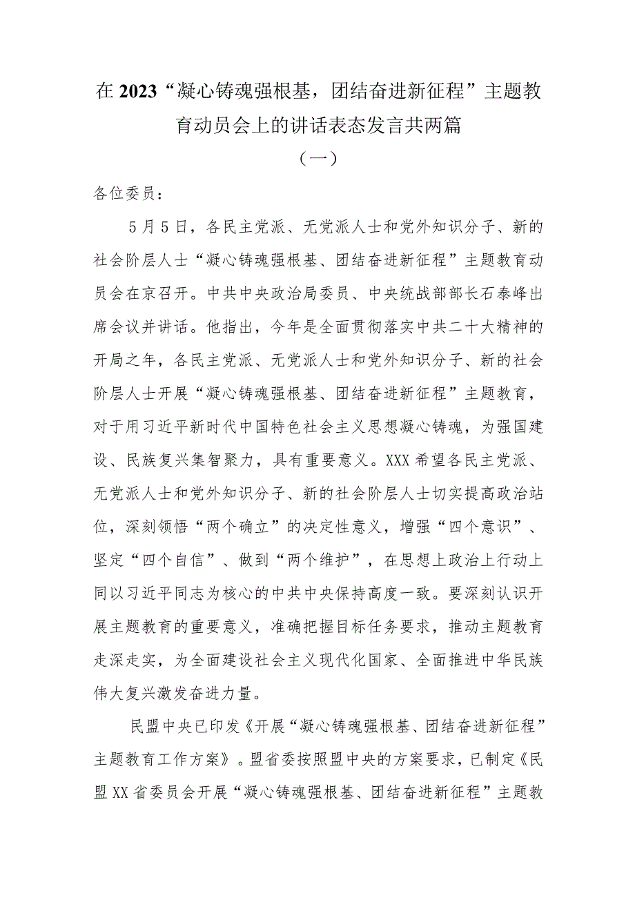 在2023“凝心铸魂强根基团结奋进新征程”主题教育动员会上的讲话表态发言共两篇.docx_第1页