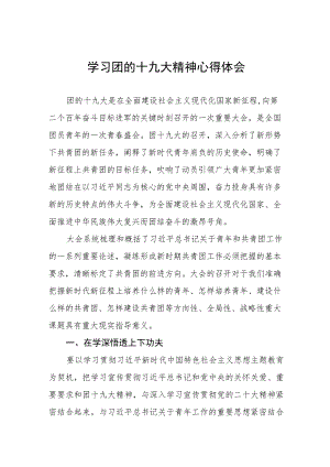 2023年青年团第十九次全国代表大会精神学习心得体会.docx