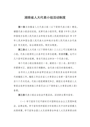 湖南省人大代表小组活动制度.docx