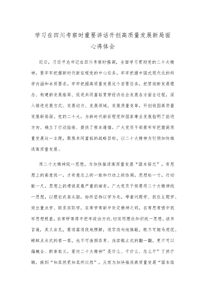 学习在四川考察时重要讲话开创高质量发展新局面心得体会.docx
