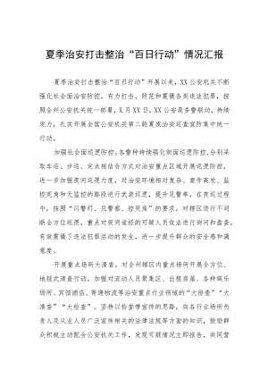 夏季治安打击整治“百日行动”情况汇报六篇.docx
